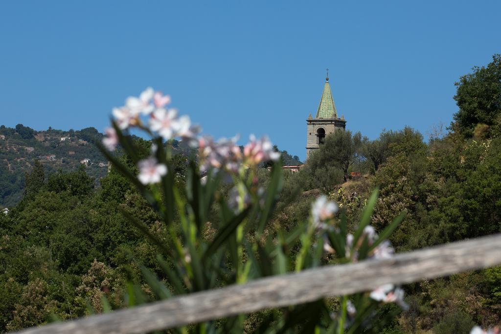 Villa Turismo Rurale Il Sole Sant'Angelo di Brolo Exterior foto
